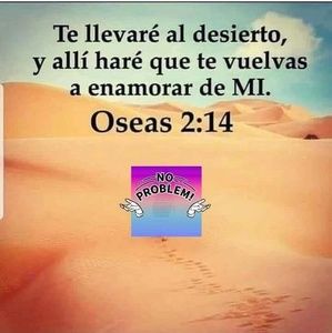 Meet your Posher, Ismael